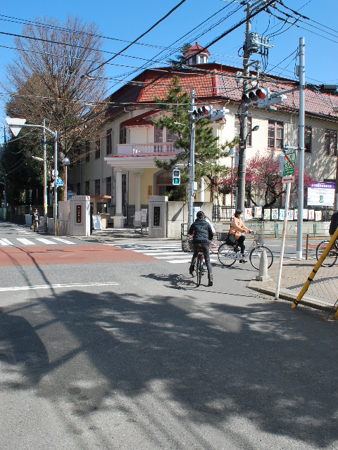 東京・日本獣医生命科学大学、旧麻布区役所(明治モダン建築再訪)_f0142606_18472678.jpg