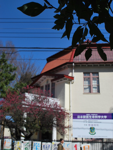 東京・日本獣医生命科学大学、旧麻布区役所(明治モダン建築再訪)_f0142606_19103285.jpg