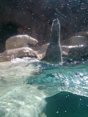 f0148410_8452427.jpg