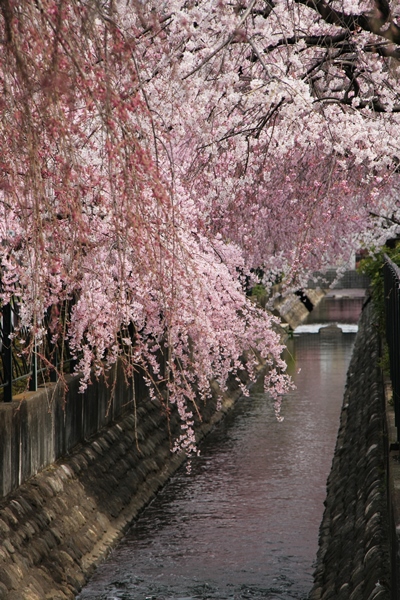 f0321610_22545481.jpg