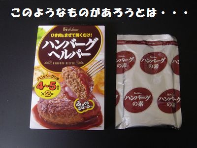 手作りハンバーグの強力な助っ人?_e0234016_17202166.jpg