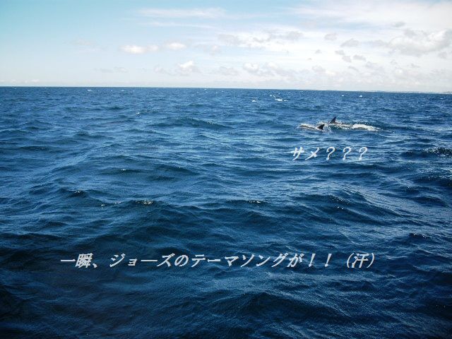 ベーコンとオニオンのオーブンサンド_d0104926_1193888.jpg
