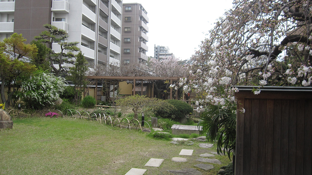 b0020130_1952049.jpg