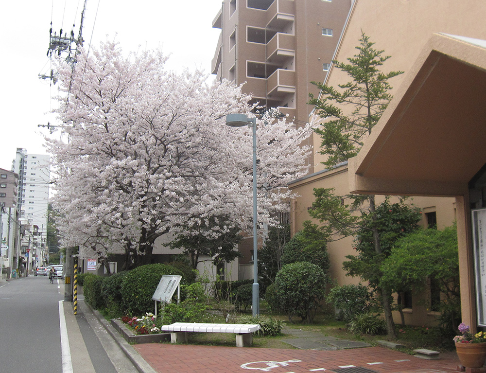 b0020130_1955417.jpg