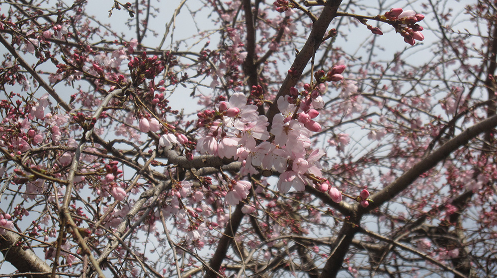 b0020130_195891.jpg