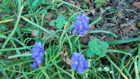 c0236632_8162012.jpg