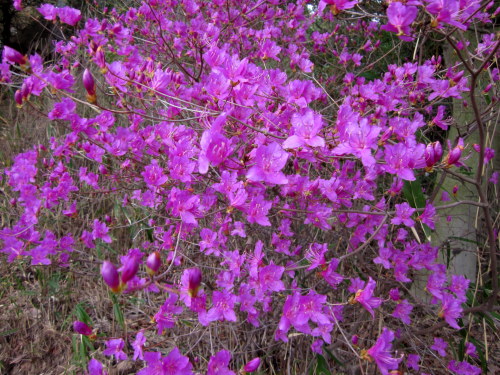 c0038434_1941513.jpg