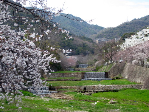 c0038434_19482.jpg