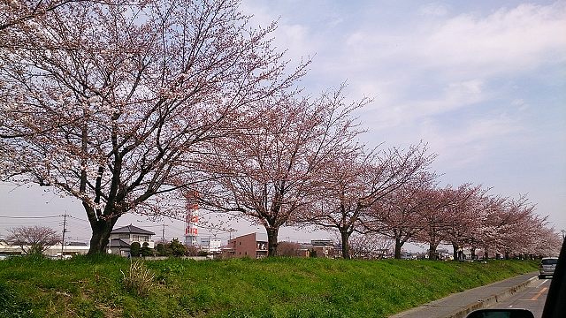 e0196135_22385570.jpg