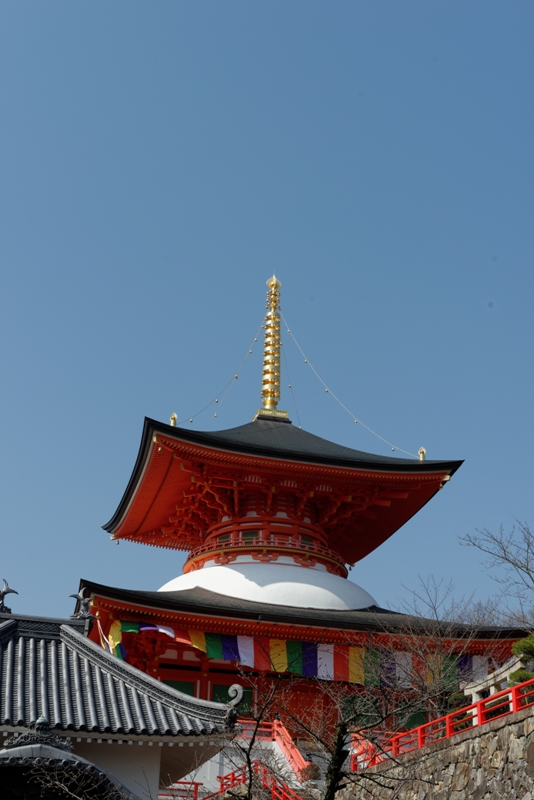 f0274536_1337283.jpg