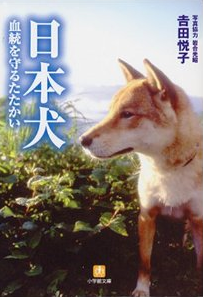 b0324239_18513457.png
