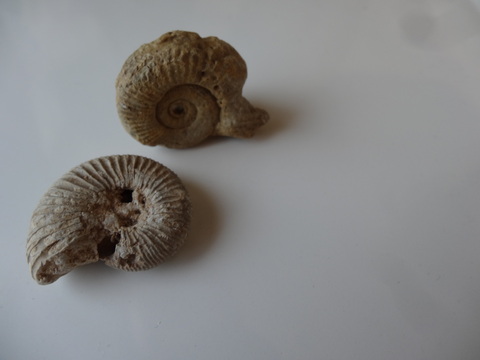 d0320840_8295123.jpg