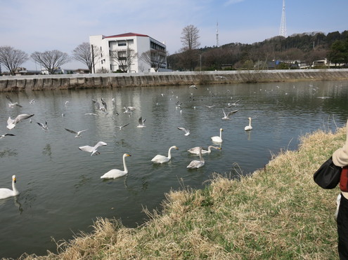 c0260460_13482912.jpg