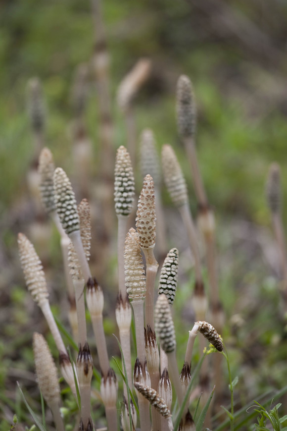 e0321360_8353647.jpg