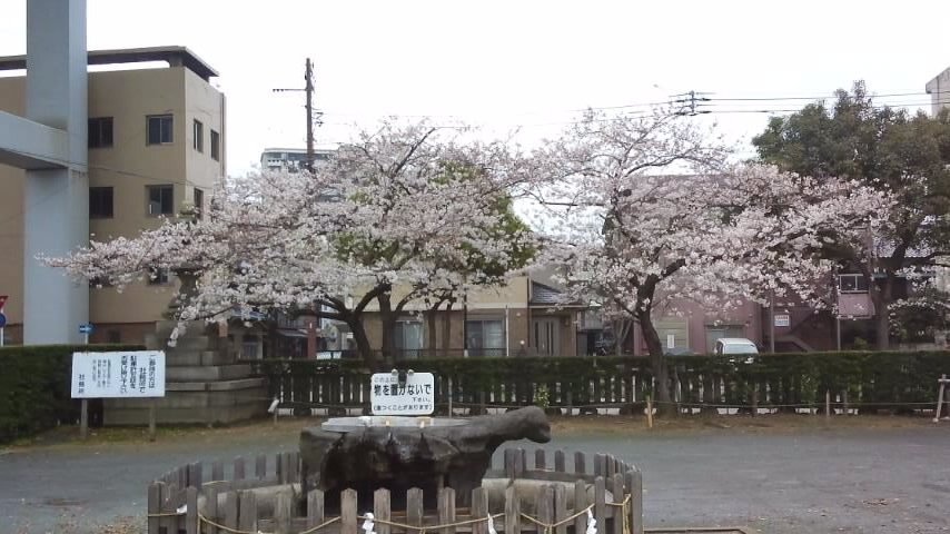 春のお祭りの準備が着々と_d0188464_116473.jpg