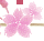 f0323266_19155828.gif