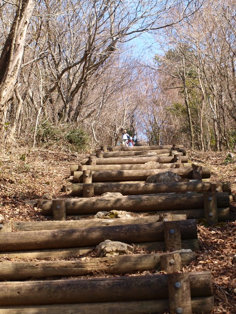 東鳳翩山で３エレ運用_d0177570_929715.jpg