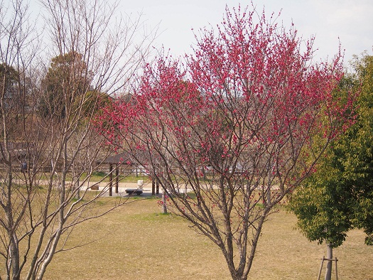 サプライズ前とお色気写真＾＾_b0302075_19425822.jpg