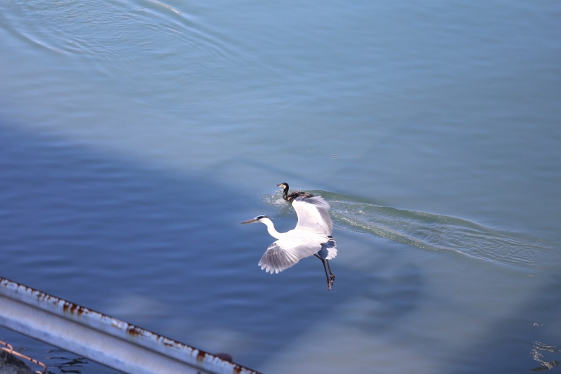 2014.03.29　病室から。_f0140087_8583023.jpg