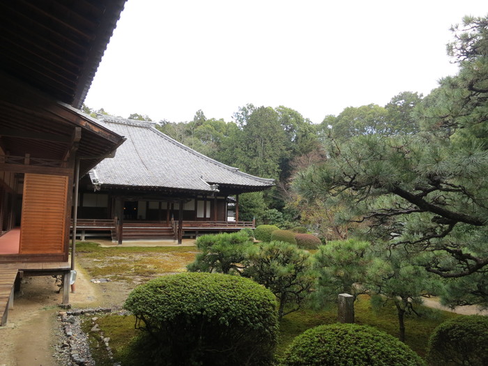 随心院　＠山科（小野）_f0274387_9251671.jpg