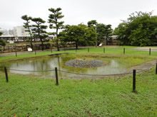 結構毛だらけ猫灰だらけ_d0132289_14581826.jpg