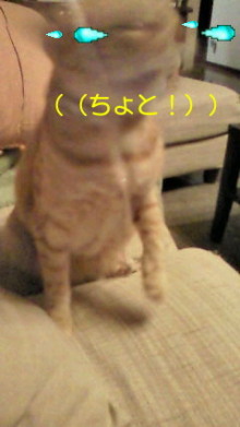 温度差_e0021092_11454160.jpg