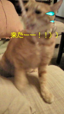 温度差_e0021092_11463939.jpg