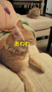 温度差_e0021092_11483770.jpg