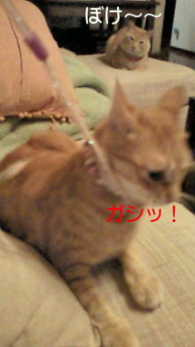 温度差_e0021092_11493682.jpg