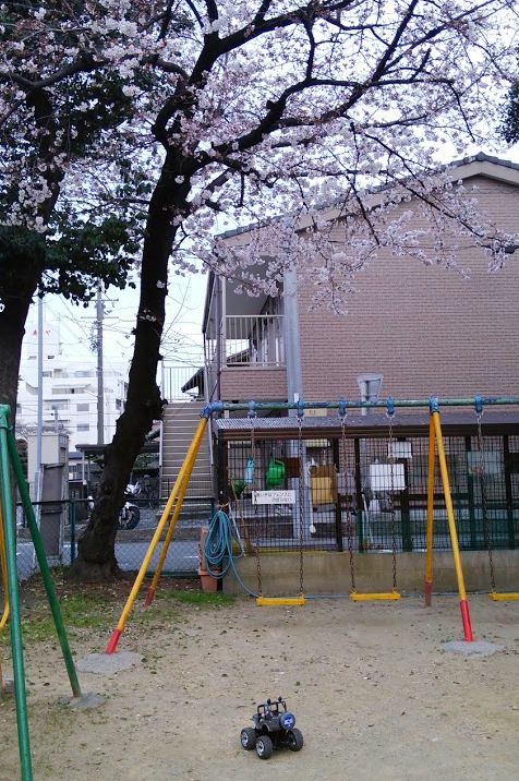 桜の下で_e0034693_19312970.jpg