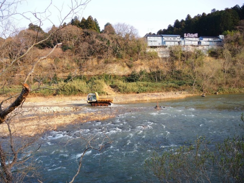 柳芽を吹く広瀬川 見かけたものは ペンギンの足跡 柳芽を吹く広瀬川 見かけたものは ペンギンの足跡