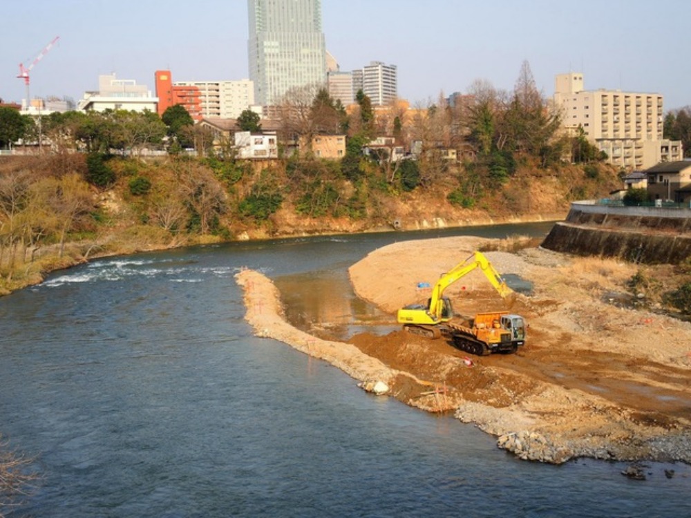 柳芽を吹く広瀬川 見かけたものは ペンギンの足跡 柳芽を吹く広瀬川 見かけたものは ペンギンの足跡