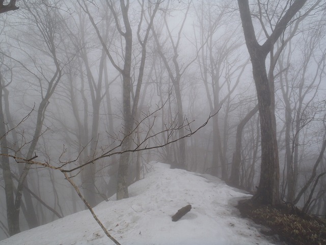 c0147398_16355965.jpg