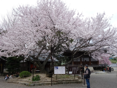 c0125501_016149.jpg