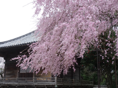 c0125501_0171955.jpg