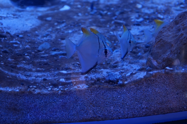 b0147203_23165556.jpg
