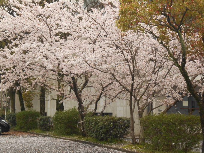 d0168003_15572578.jpg