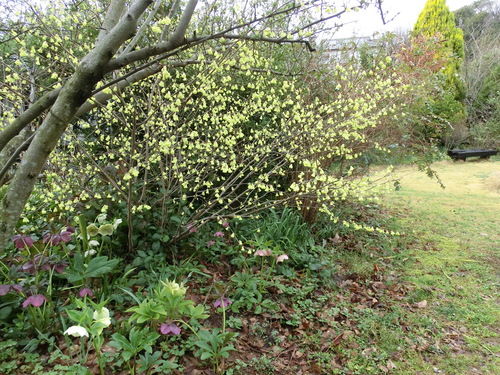 c0156104_215501.jpg