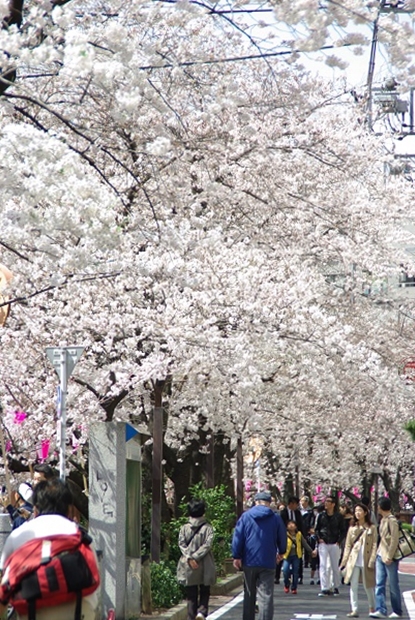 f0038904_1228253.jpg