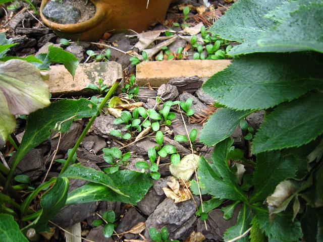 a0141408_2130527.jpg