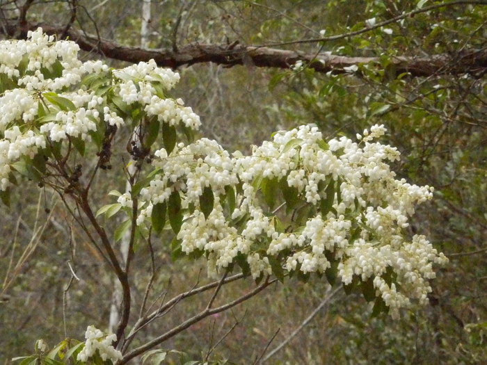 f0219710_8524441.jpg