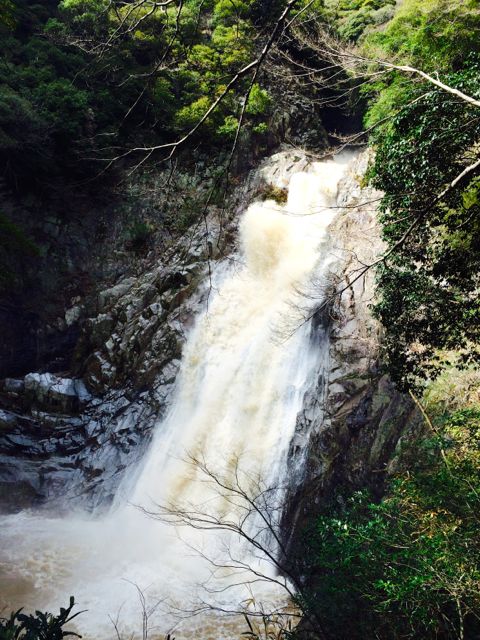 摩耶山　大雨の後のトレイルラン_b0183911_23575172.jpg