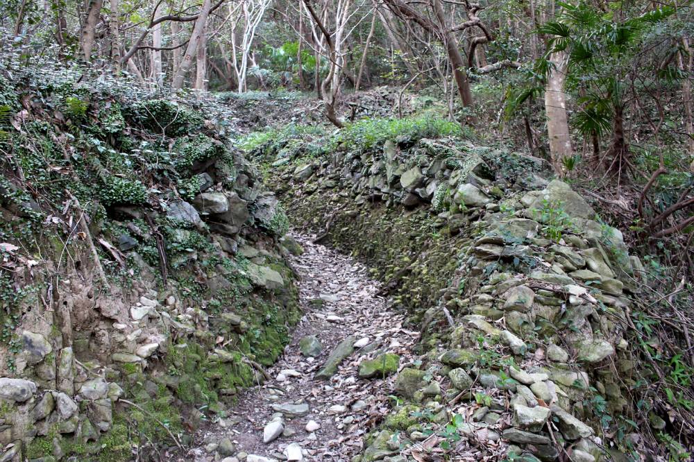 国東半島の矢筈岳(姫島)・尻付山・ハニカミ山②_f0212511_1233487.jpg