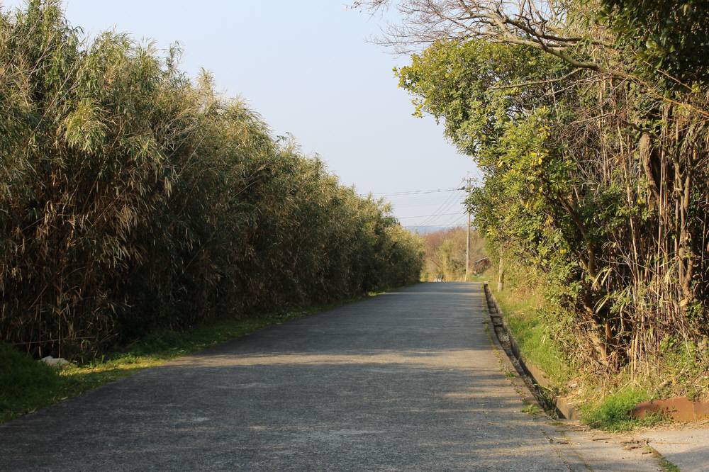 国東半島の矢筈岳(姫島)・尻付山・ハニカミ山②_f0212511_1235497.jpg