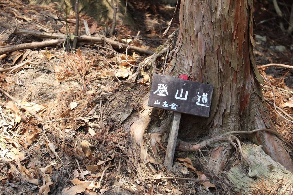 f0212511_1595579.jpg