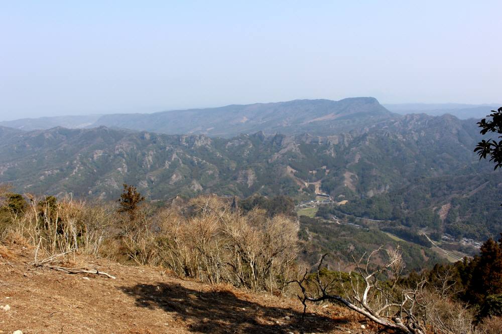 f0212511_21865.jpg