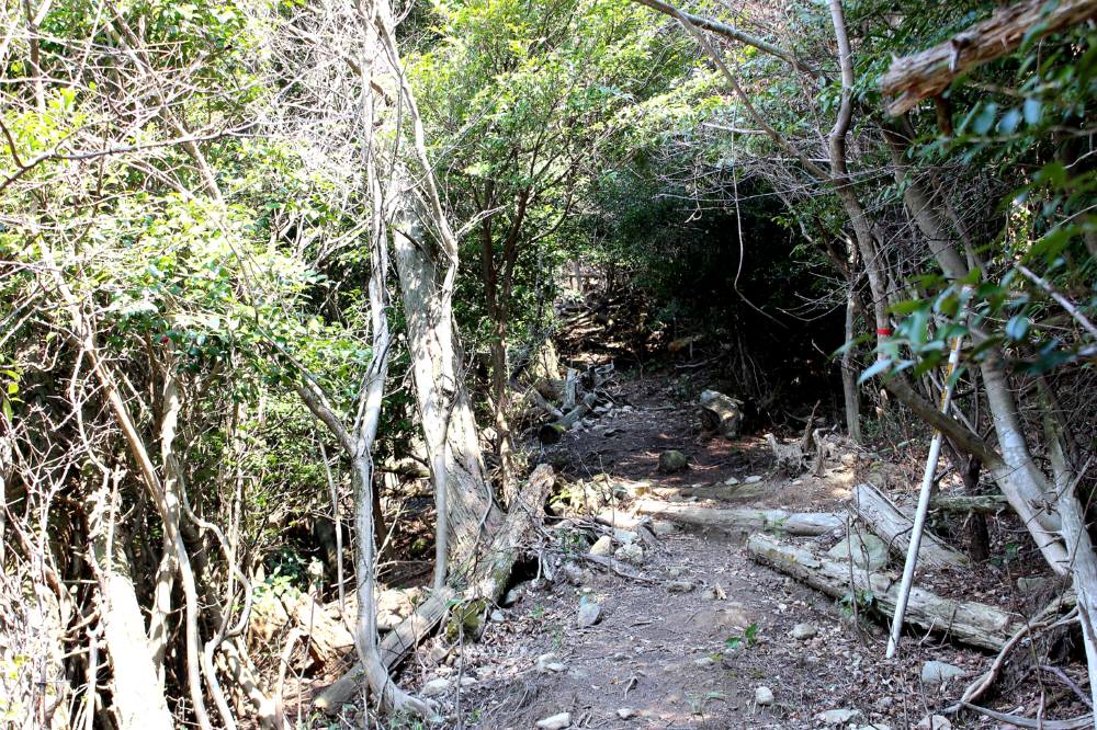 国東半島の矢筈岳(姫島)・尻付山・ハニカミ山②_f0212511_21915.jpg