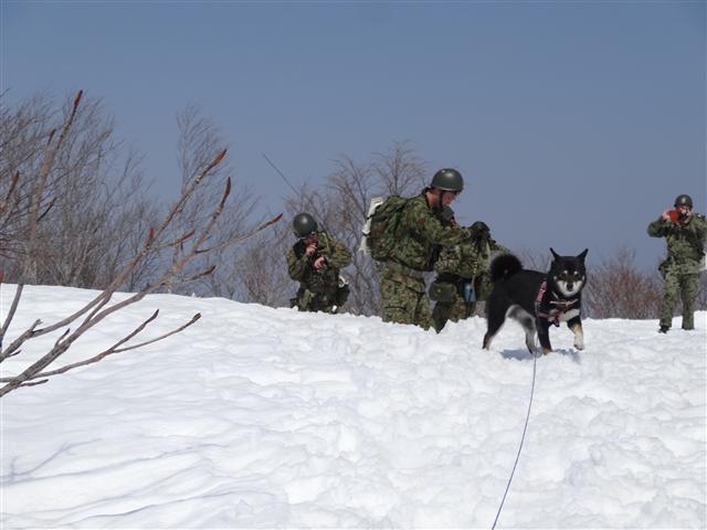 泉ヶ岳と黒鼻尾根_a0127015_8532084.jpg