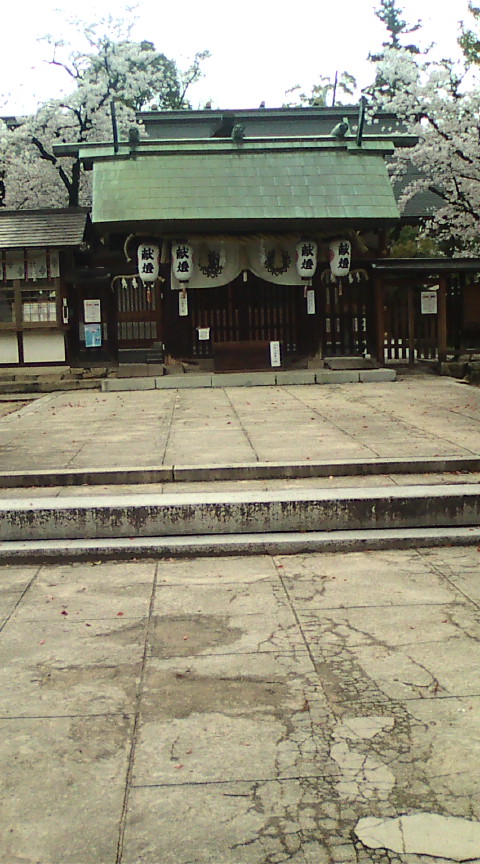 【安神社に参拝、おみくじは？】_e0094315_13342496.jpg