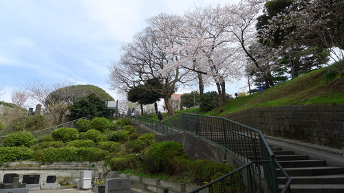 横浜 山手の景観_b0074416_0371324.jpg